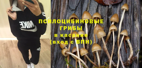 ешки Бугульма