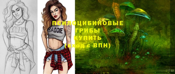 ешки Бугульма